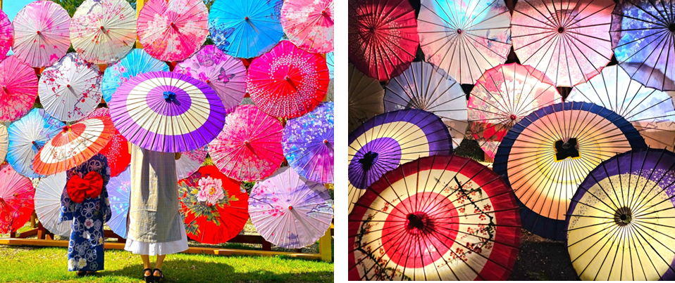 SNS映えする300本以上の「和傘」の空間を演出、平和への祈りをこめて「和傘物語・和傘灯り物語2024」4月26日から開催、近江牛の期間限定メニューとともに